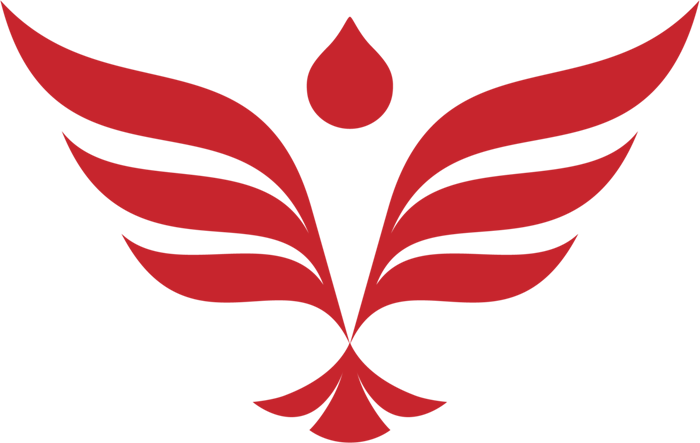 Cao đẳng Việt Mỹ Hà Nội