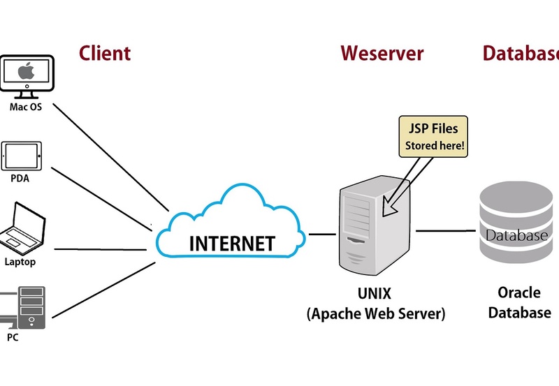 Quản lý server – dữ liệu web là gì?