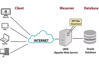 Quản lý server – dữ liệu web là gì?